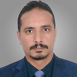 Mohamed Ibrahim Farid
