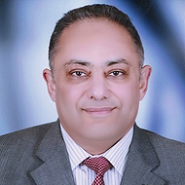 Mohamed Abdel-Wanis